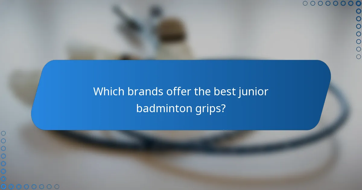 Which brands offer the best junior badminton grips?